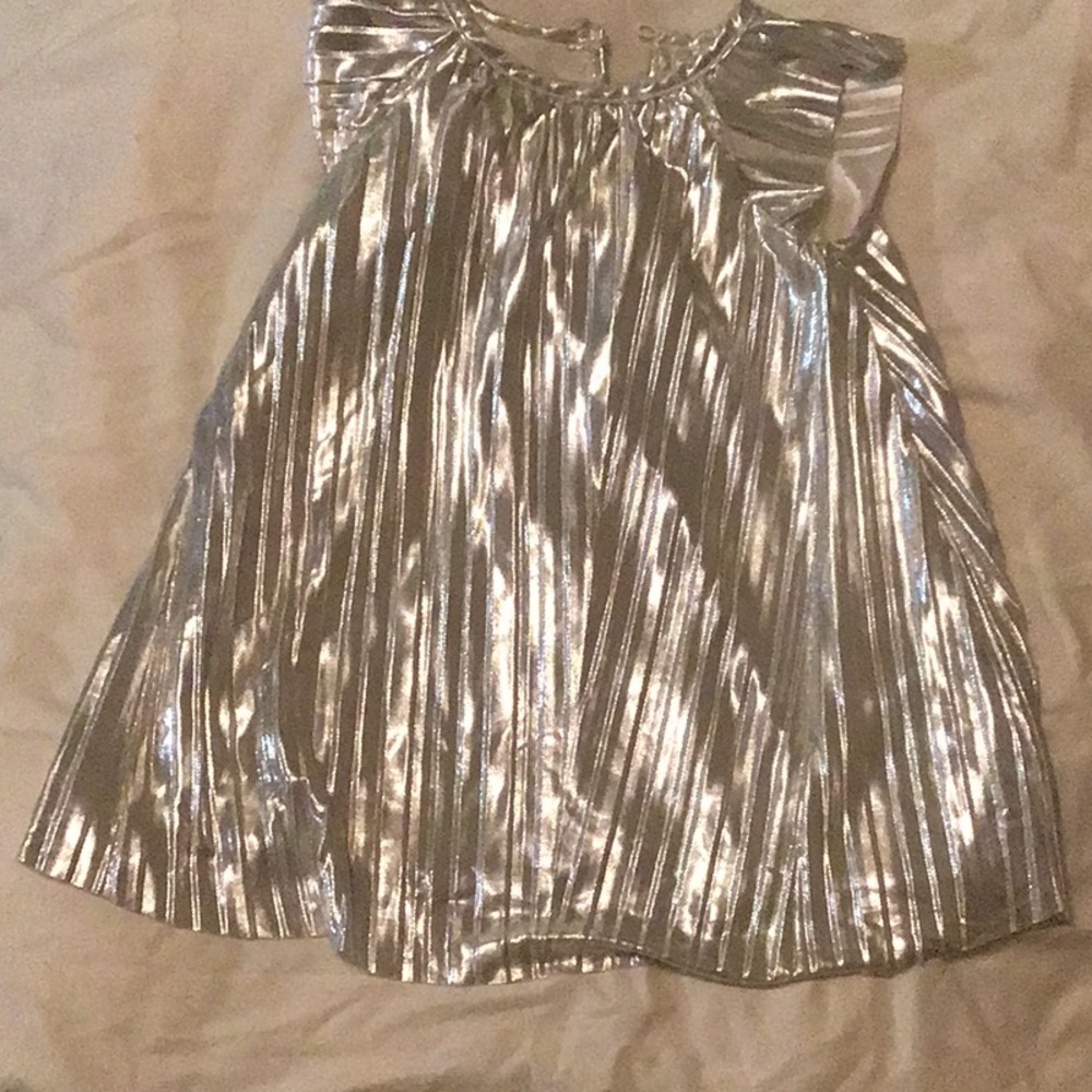 Shimmering Silver Metallic Dress